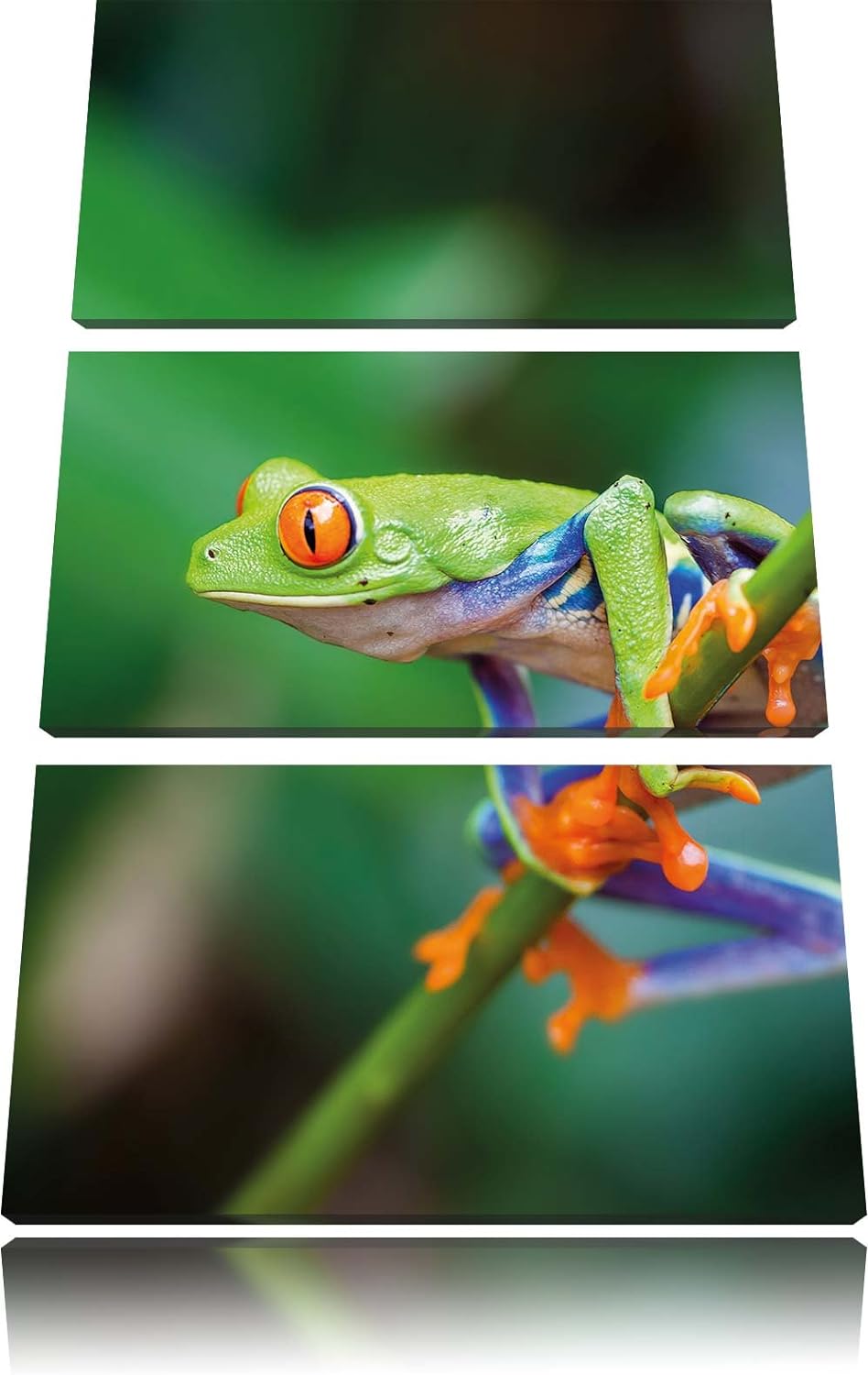 Pixxprint Eule mit Cupcake als Leinwandbild/Grösse: 3 Teilig (120x80) / Wandbild/Kunstdruck/fertig b