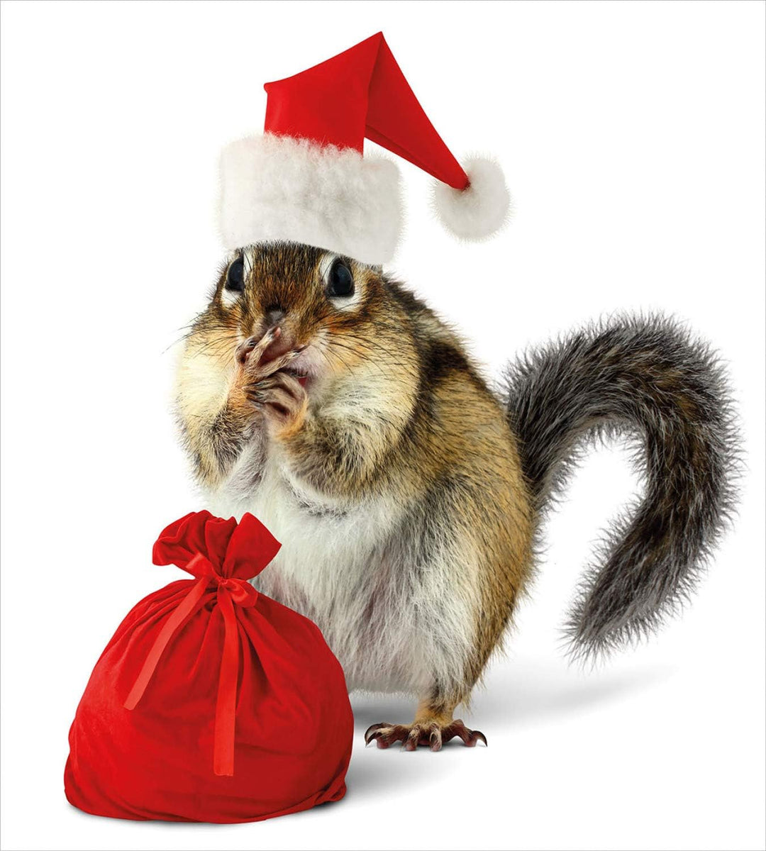 ABAKUHAUS Weihnachten Bettbezugs Set Für Doppelbetten, Chipmunk in Sankt-Hut, Milbensicher Allergike