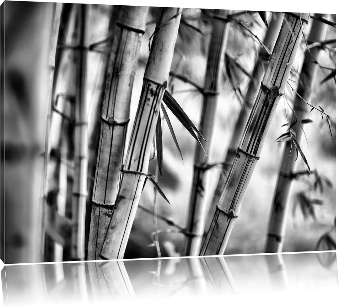 Pixxprint Alter Bambus Wald als Leinwandbild/Grösse: 100x70 / Wandbild/Kunstdruck/fertig bespannt, 1