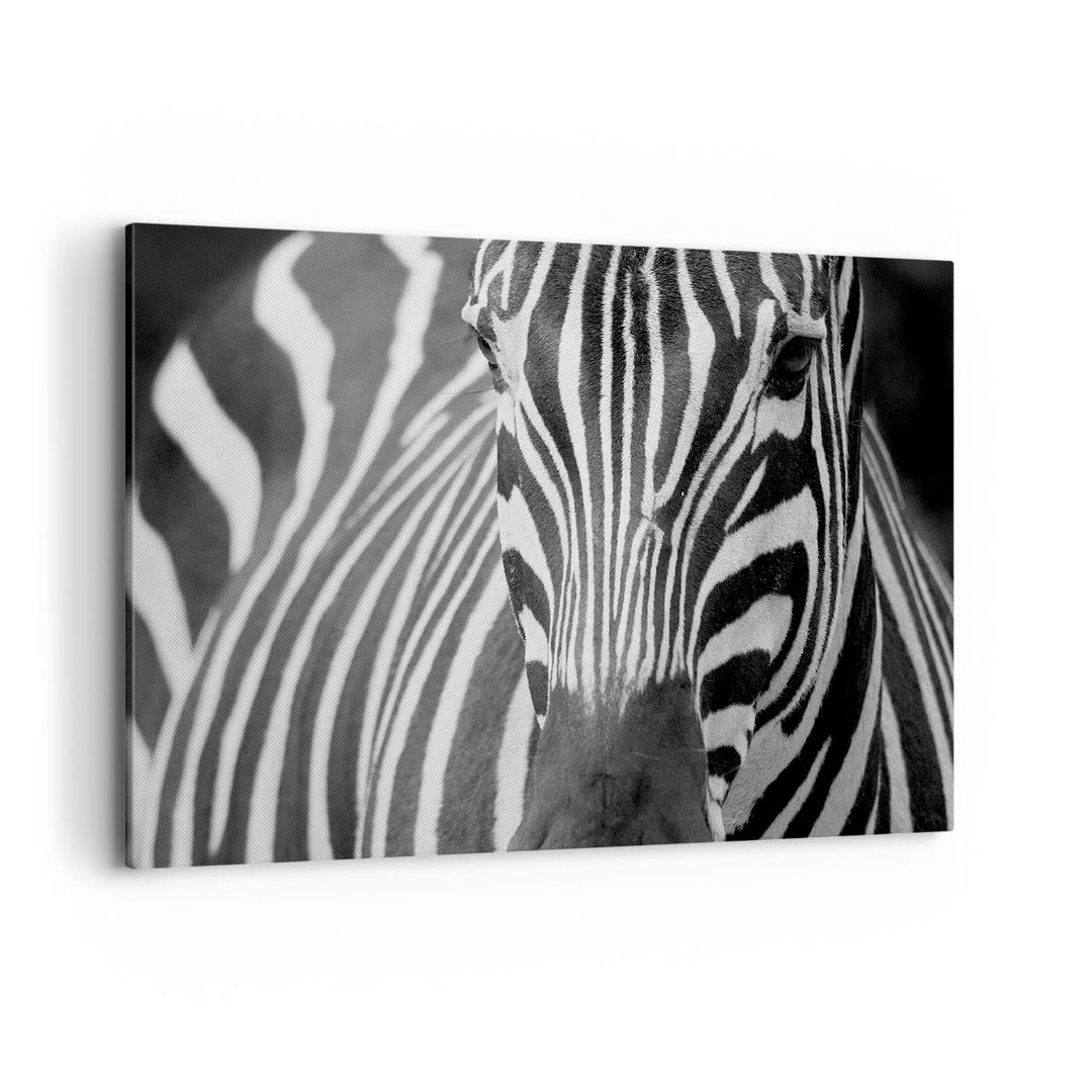 ARTTOR Bilder auf Leinwand 100x70cm Leinwandbild Tiere Zebra gestreift Gross Wanddeko Bild Schlafzim