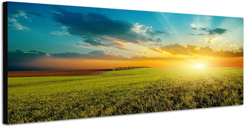 Paul Sinus Art Panoramabild auf Leinwand und Keilrahmen 150x50cm Feld Wiese Sommer Wolken Sonnenunte