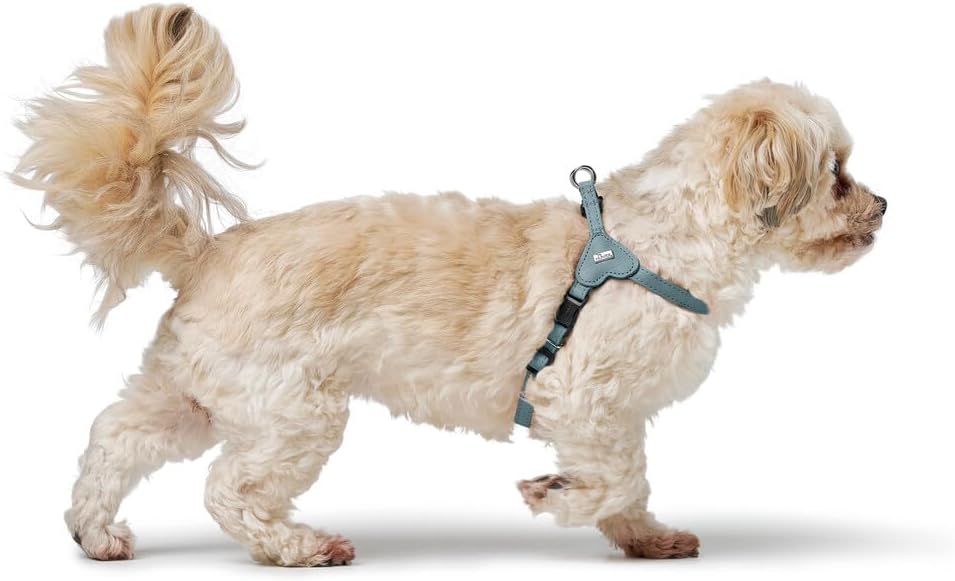 Hunter Hundegeschirr SOHO MINI, Farbe: hellblau, Rindsleder, weich & geschmeidig, fellschonend, leic