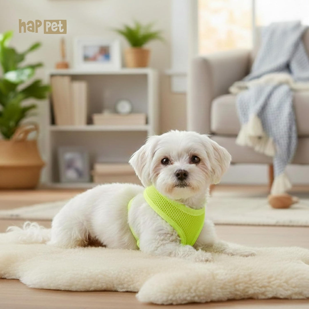 HAPPET Hundegeschirr für kleine Hunde Air Comfort XXS Neon Grün – atmungsaktives, gepolstertes &amp; ver