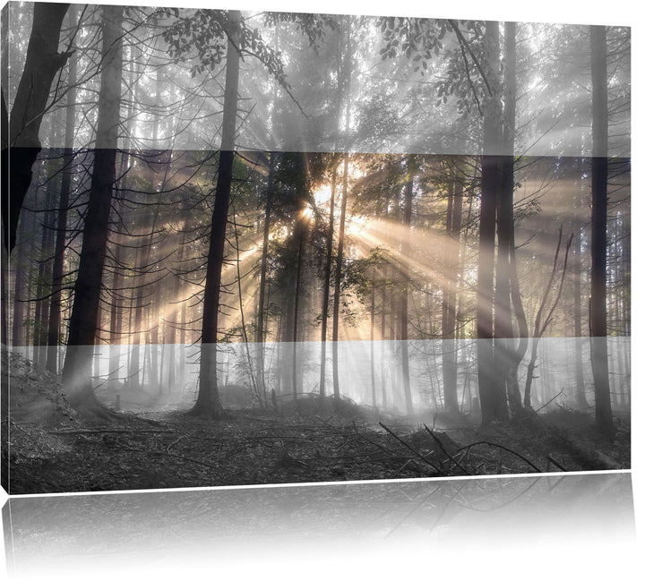 Herbstwald im Nebel schwarz/weiss Format: 100x70 auf Leinwand, XXL riesige Bilder fertig gerahmt mit