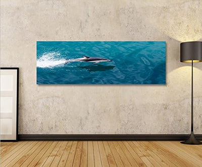 islandburner Bild Bilder auf Leinwand Delphin V2 Delfin Panorama XXL Poster Leinwandbild Wandbild De