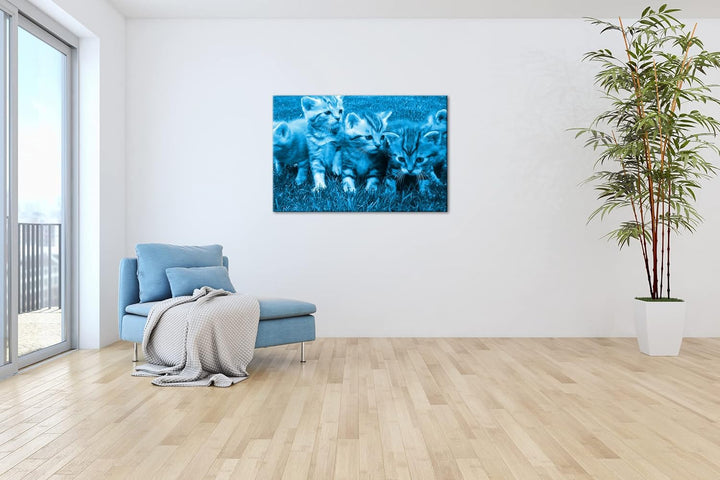 niedliche Katzenbabys auf der Wiese Format 80x60 Effekt: Monocrome Blau als Leinwandbild, Motiv fert