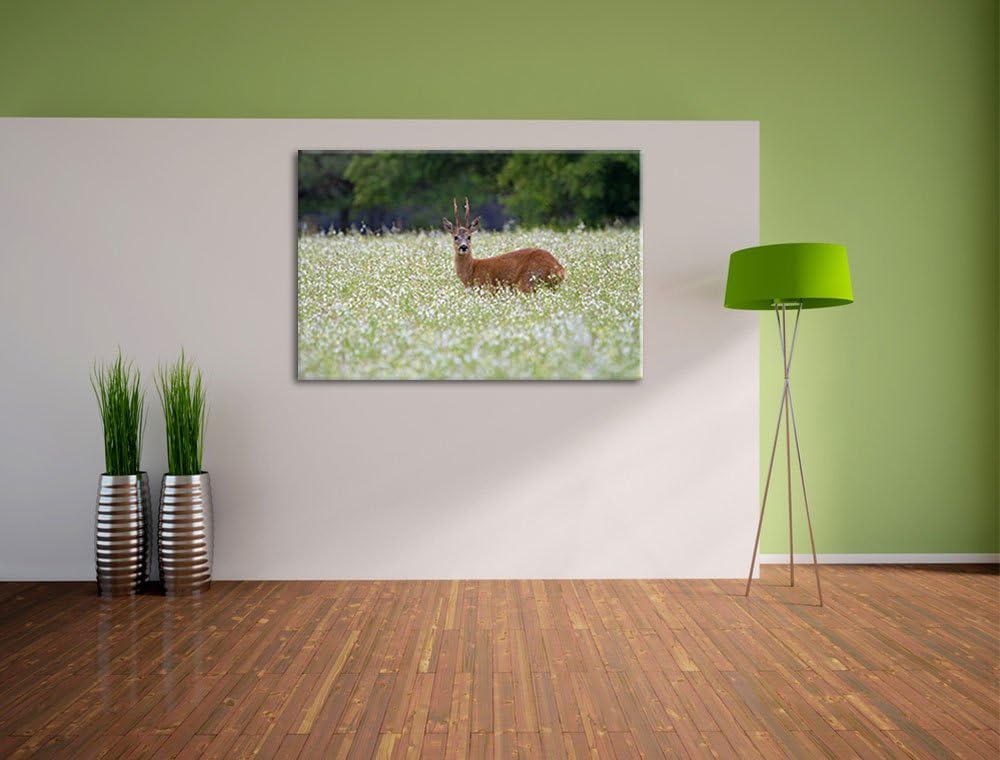 junger Hirsch auf Wildwiese Leinwand, XXL riesige Bilder fertig gerahmt mit Keilrahmen, Kunstdruck a