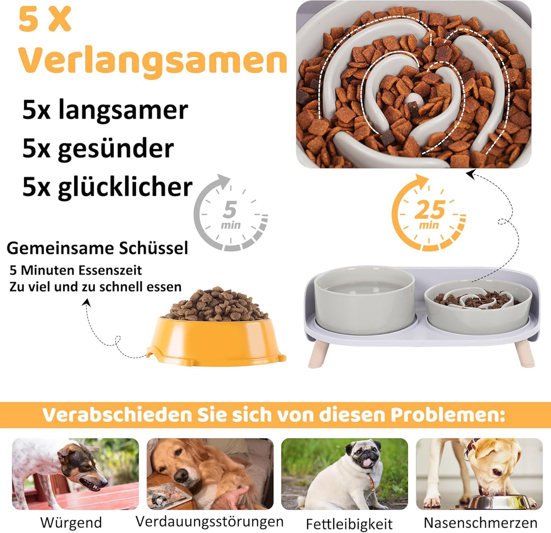 Antischlingnapf Hunde Keramik Hundenapf Erhöht - Anti Schling Napf Hund Set für Mittelgrosse und Kle