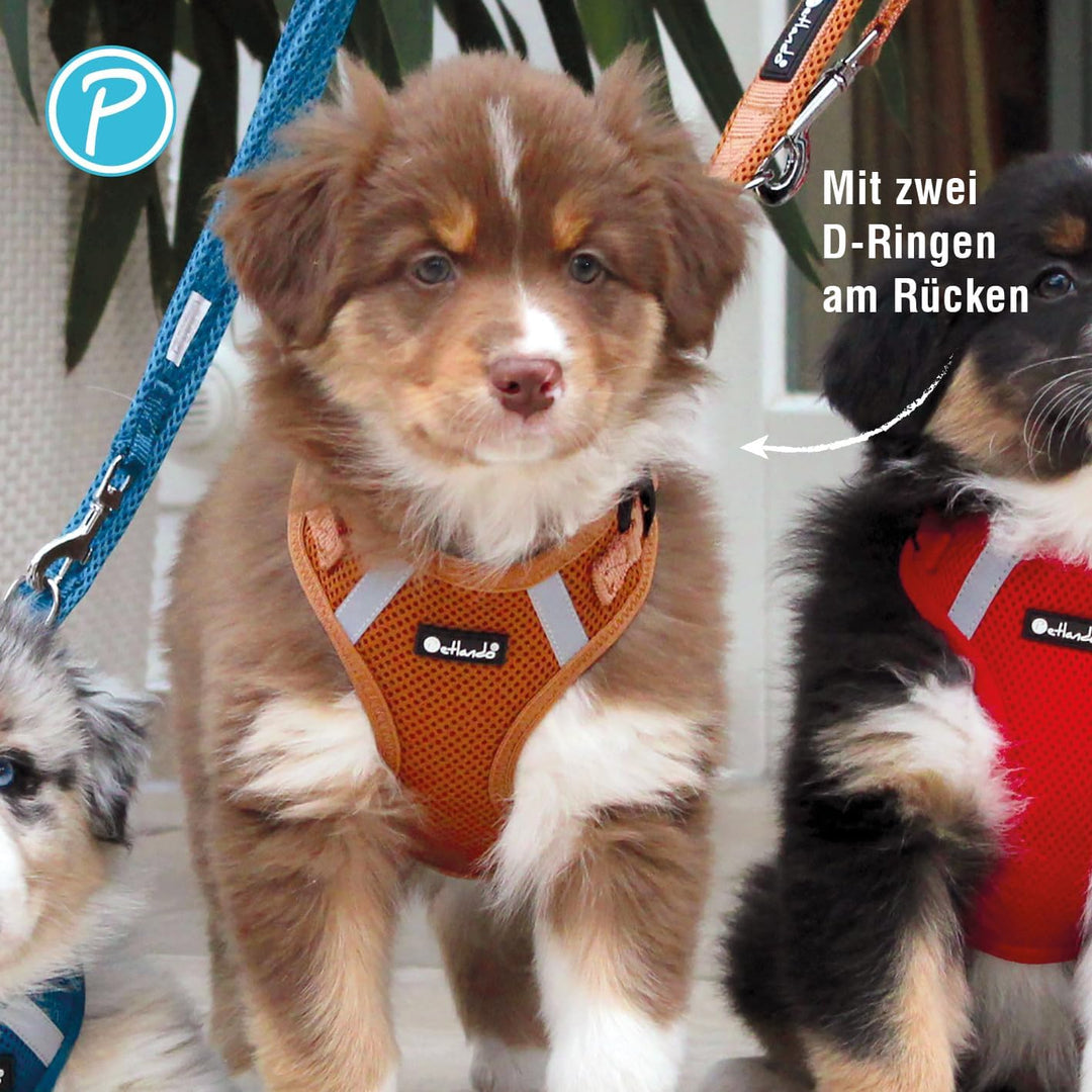Petlando Hundegeschirr Mesh Vest, leichtes Brustgeschirr aus weichem Mesh & Nylon, stufenlos verstel