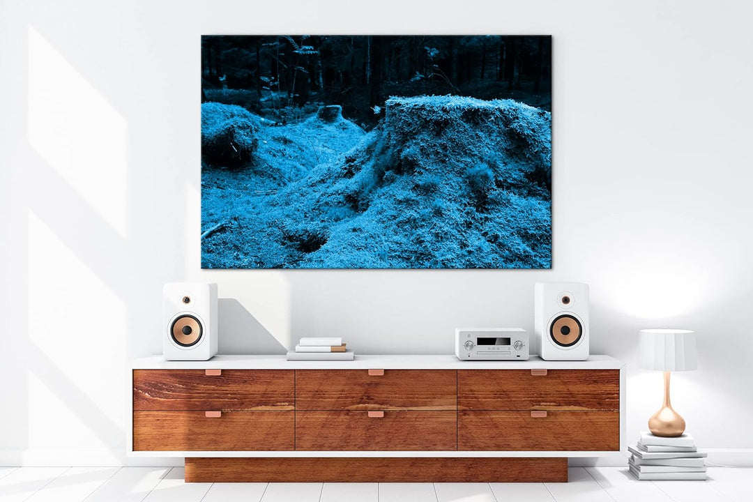 deyoli Moos bedeckter Waldboden Format 100x70 Effekt: Monocrome Blau als Leinwandbild, Motiv fertig