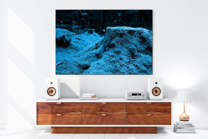 deyoli Moos bedeckter Waldboden Format 100x70 Effekt: Monocrome Blau als Leinwandbild, Motiv fertig