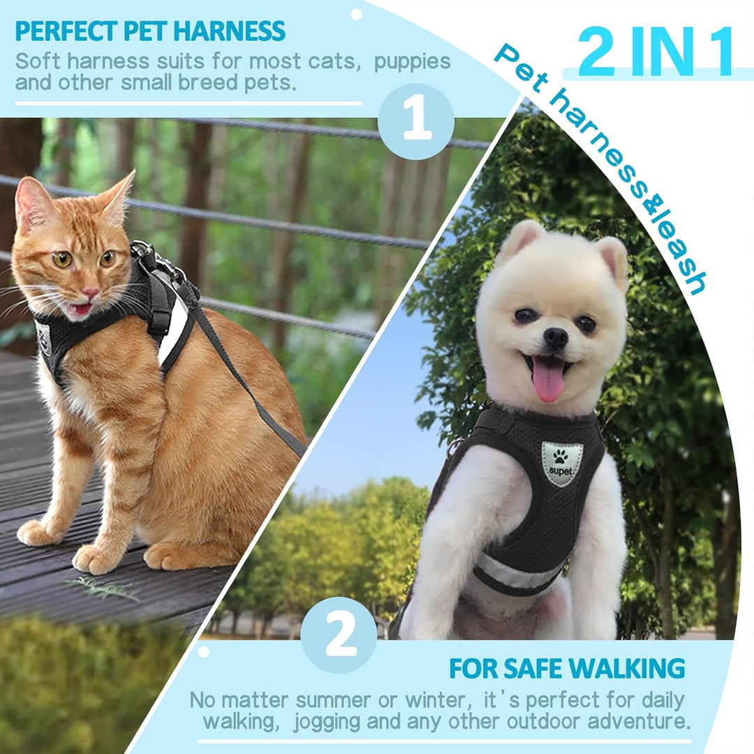 Katzengeschirr und Leine Set zum Spazierengehen Katze kleine Hunde Geschirr Weiches Mesh Verstellbar