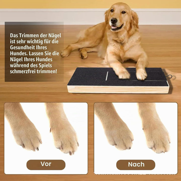 Kratzbrett Hunde Mit Leckerli Box, Krallenschleifer Mit Snack Box Hundekrallen Nagelfeile Brett Für