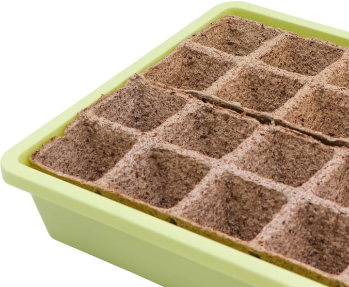 Siena Garden Zimmergewächshaus Uni-Grow, 38x24x18cm pastellgrün Normal, Normal