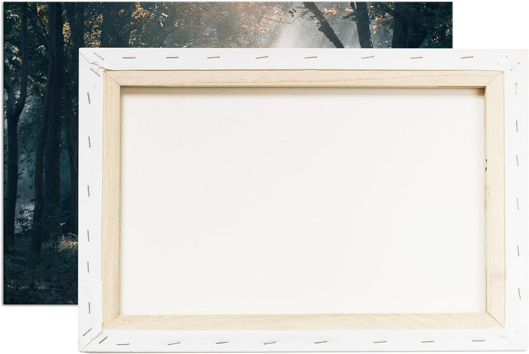 deyoli stolzer Elefant im Wald Format:90x60 cm als Leinwandbild, Motiv fertig gerahmt auf Echtholzra