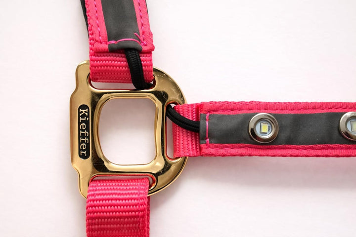 Reinecke Equestrian Premium Leuchthalfter Reflexhalfter Sicherheitshalfter Stallhalfter Weidehalfter