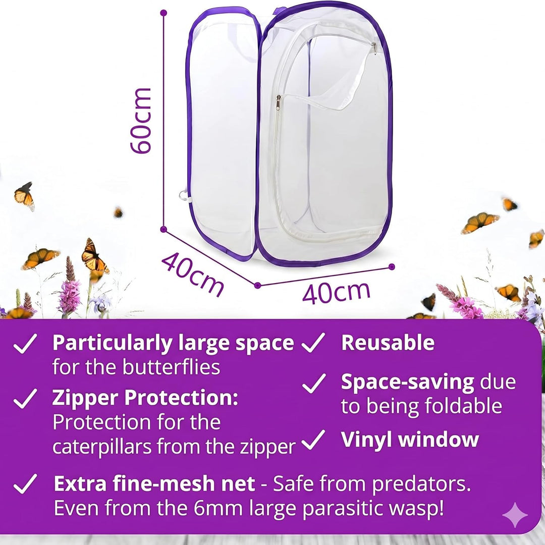 Schmetterlingszucht-Set für Kinder | Ca. 14 Raupen + grossem Habitat (40x40x60 cm) | GRATIS E-Book +