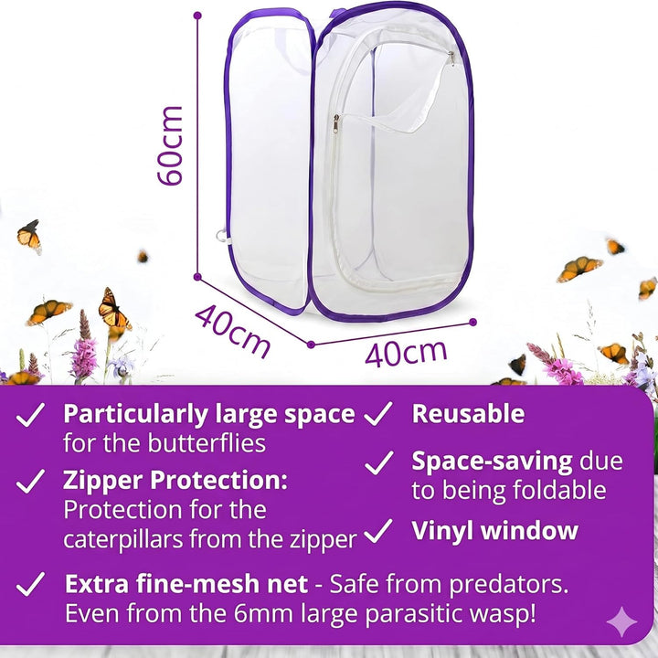Schmetterlingszucht-Set für Kinder | Ca. 14 Raupen + grossem Habitat (40x40x60 cm) | GRATIS E-Book +