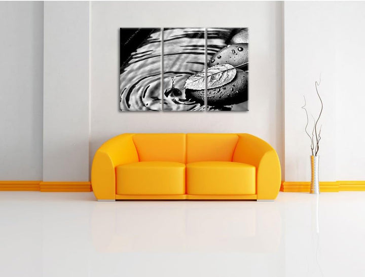 Pixxprint Stein mit Blatt als Leinwandbild/Grösse: 3 Teilig (120x80) cm/Wandbild/Kunstdruck/fertig b