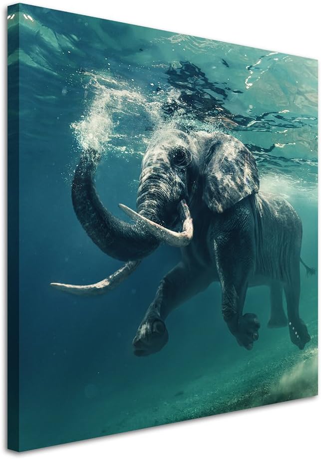 Sinus Art Wandbild 90x90cm Tierfotografie – Schwimmender Elefant unter Wasser, 90x90cm