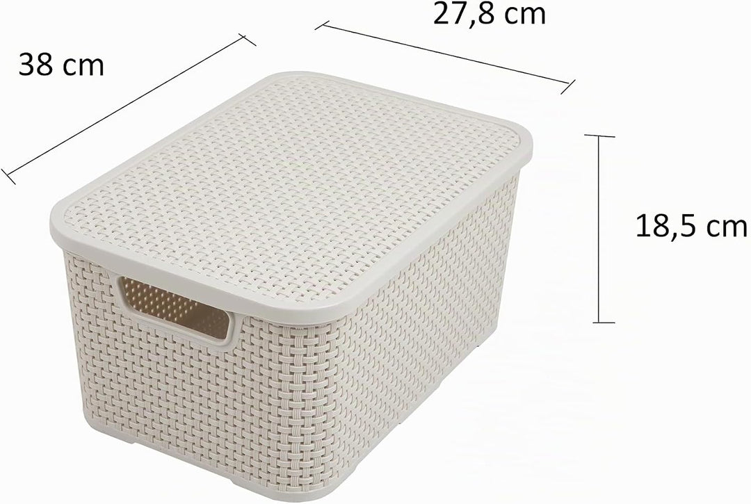 BranQ - Home essential Deckel Korb in Rattan Design 2er Set Grösse L 19l, Kunststoff PP, Creme, 19 l