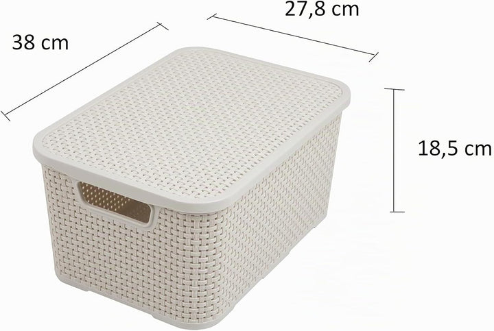 BranQ - Home essential Deckel Korb in Rattan Design 2er Set Grösse L 19l, Kunststoff PP, Creme, 19 l