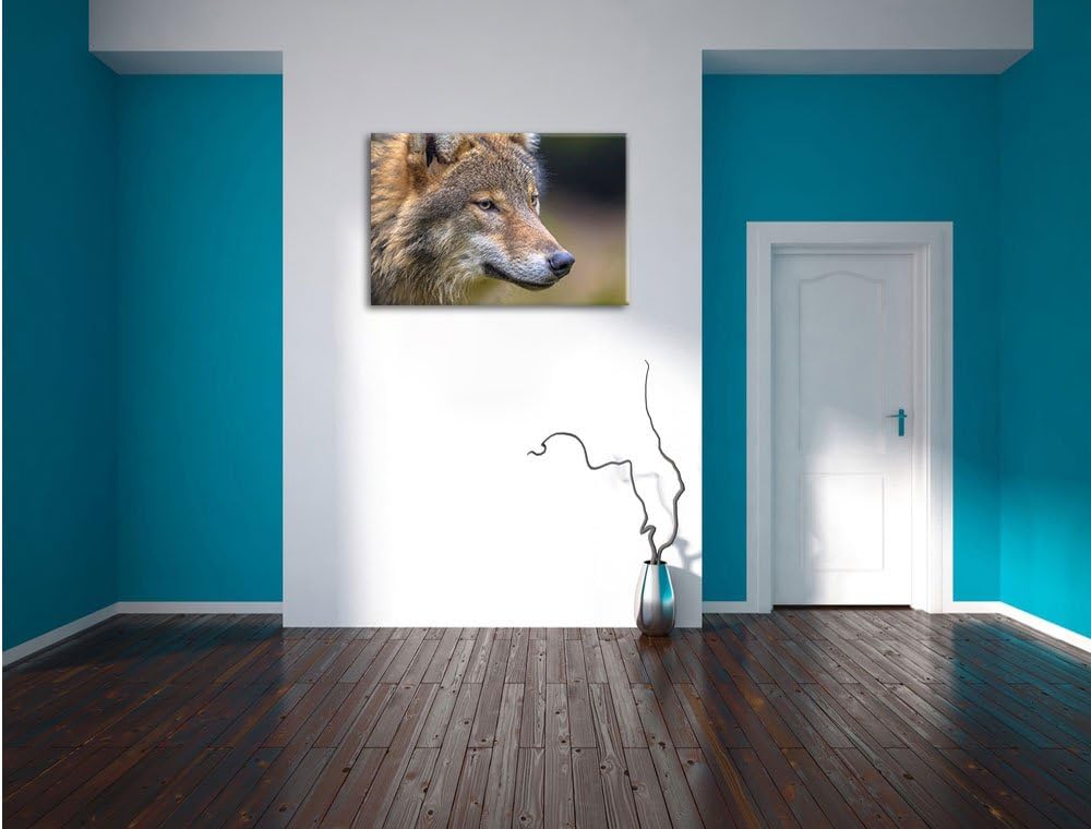Pixxprint Porträt des europäischen Wolfes als Leinwandbild/Grösse: 100x70 cm/Wandbild/Kunstdruck/fer