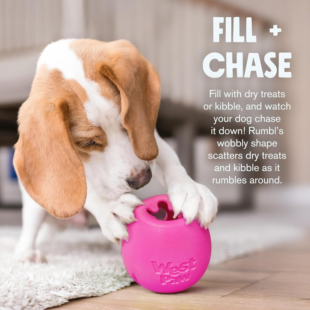 WestPaw Dog Spielzeug Echo Rumbl L orange 10cm, Melon Large