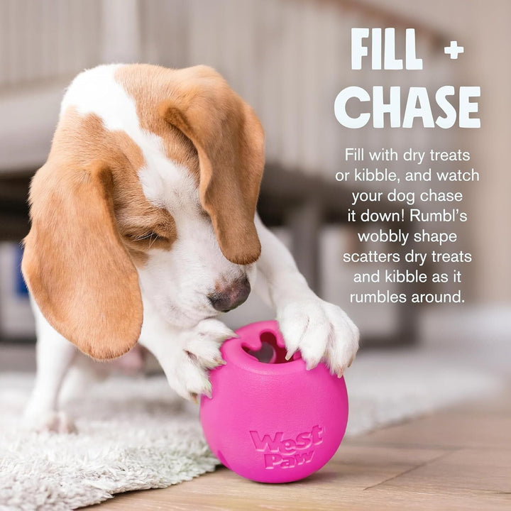 WestPaw Dog Spielzeug Echo Rumbl L orange 10cm, Melon Large