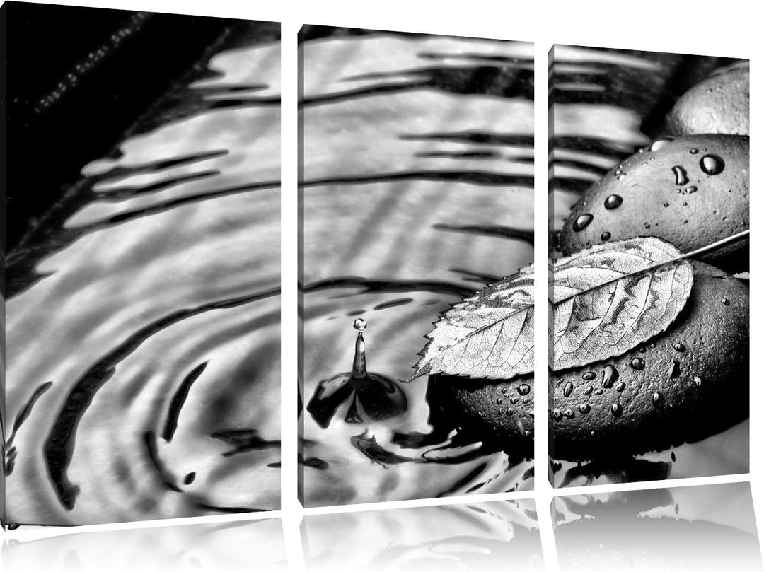 Pixxprint Stein mit Blatt als Leinwandbild/Grösse: 3 Teilig (120x80) cm/Wandbild/Kunstdruck/fertig b