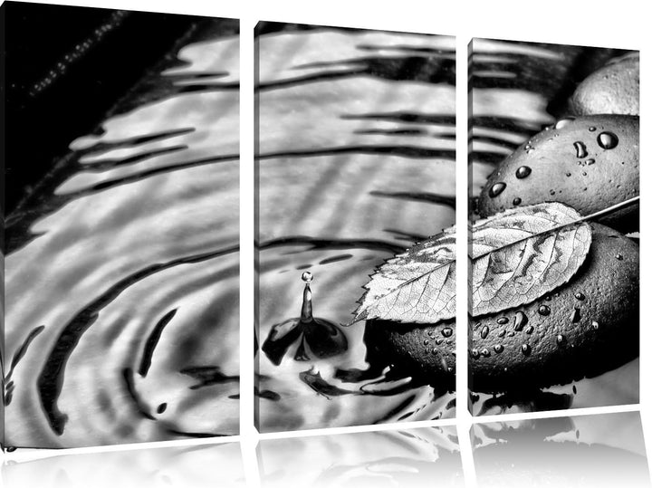 Pixxprint Stein mit Blatt als Leinwandbild/Grösse: 3 Teilig (120x80) cm/Wandbild/Kunstdruck/fertig b