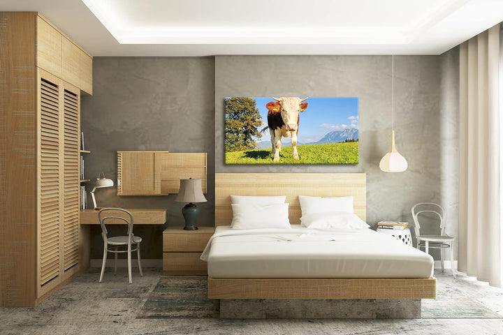 edle Kuh auf der Weide Panorama 80x40 cm als Leinwandbild, Motiv fertig gerahmt auf Echtholzrahmen,