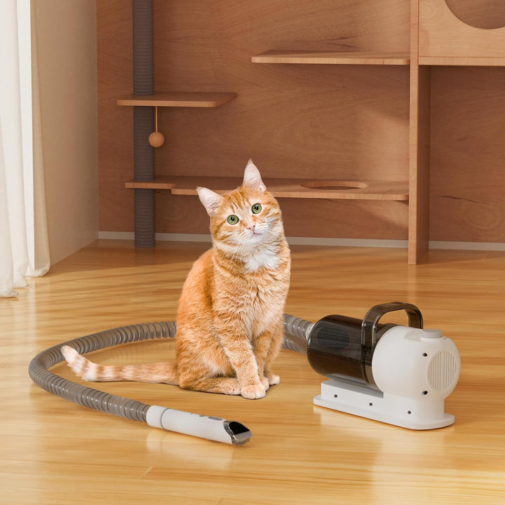 Topteng 5 In 1 Pet Grooming Kit Vacuum Suction Professional Pet Hair Clipper,1.5L Grooming Tools pas