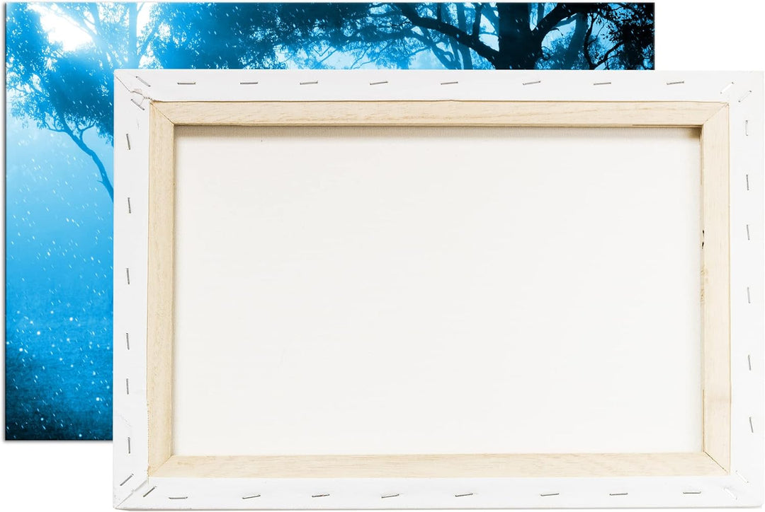 deyoli Anmutiger Hirsch bei Schnee Format: 80x60 Effekt: Monocrome Blau als Leinwandbild, Motiv fert