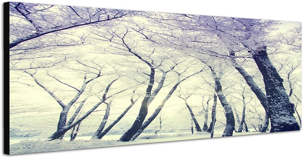 Paul Sinus Art Panoramabild auf Leinwand und Keilrahmen 150x50cm Winterwald Bäume Schnee