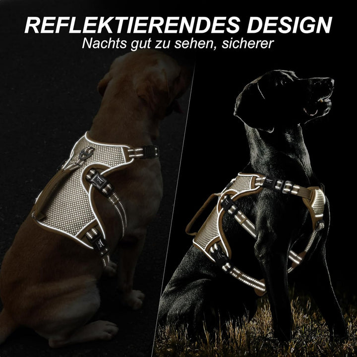 HEELE Hundegeschirr, Ausbruchsicher, Schnalle im Halsbereich, Reflektierend, Brustgeschirr mit Robus