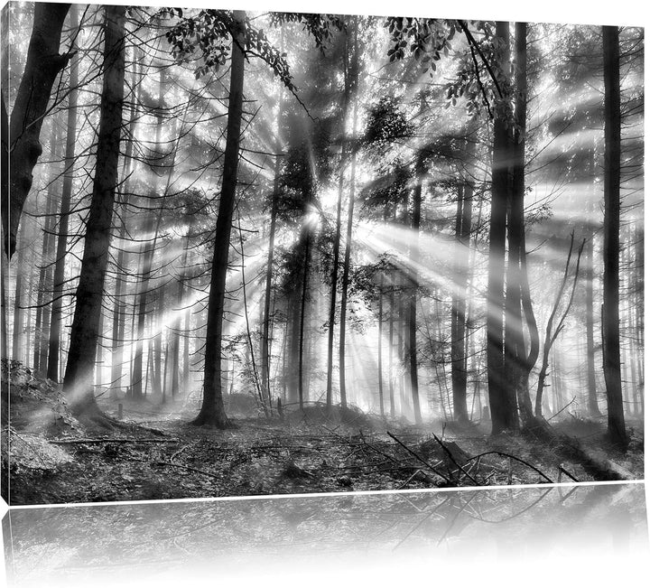 Pixxprint diesiger Waldweg / 100x70cm Leinwandbild bespannt auf Holzrahmen/Wandbild Kunstdruck Dekor