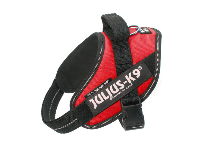 Julius-K9 IDC Powerharness für Hunde mit zwei kostenlosen individuellen Patches, rot Mini-Mini XS/Mi