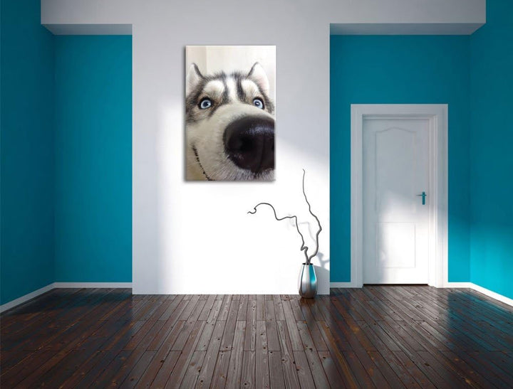 Glücklicher Husky, Format: 100x70 auf Leinwand, XXL riesige Bilder fertig gerahmt mit Keilrahmen, Ku