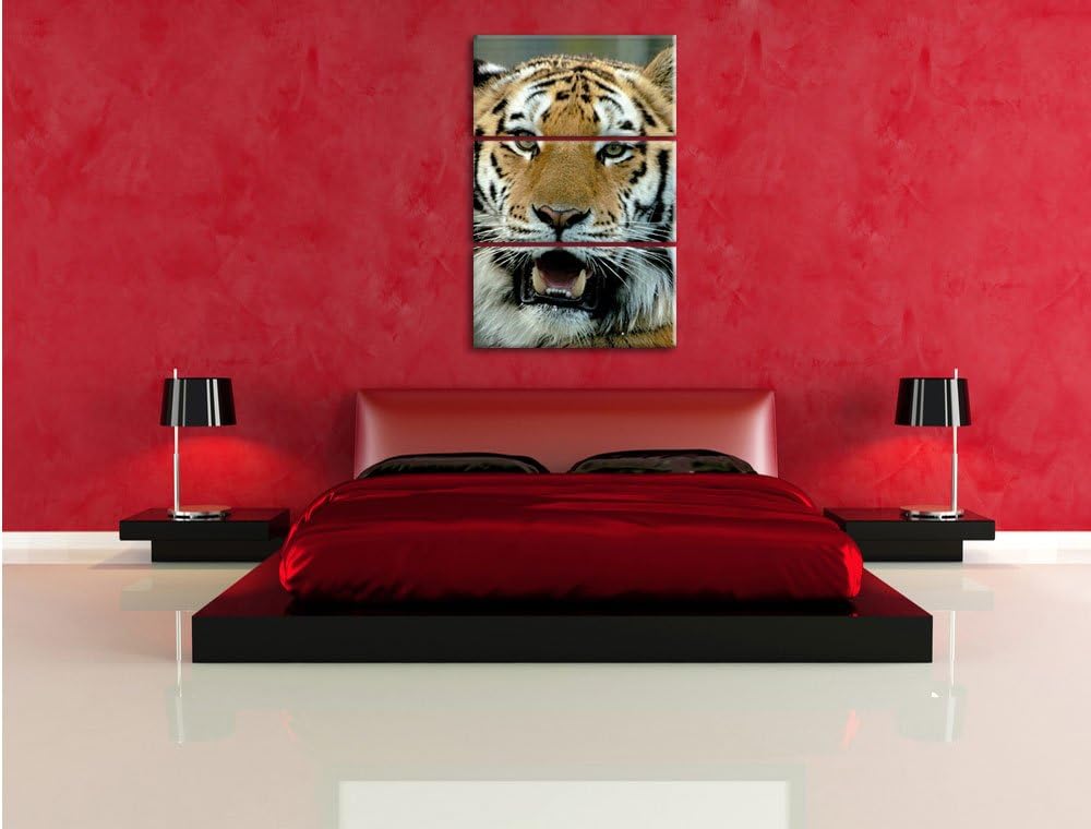 Pixxprint Tiger mit offenem Maul 3-Teiler Leinwandbild 120x80 Bild auf Leinwand