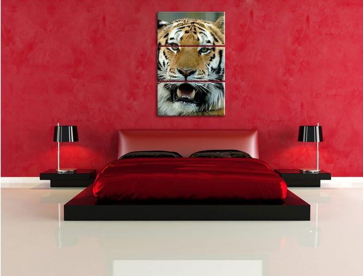 Pixxprint Tiger mit offenem Maul 3-Teiler Leinwandbild 120x80 Bild auf Leinwand
