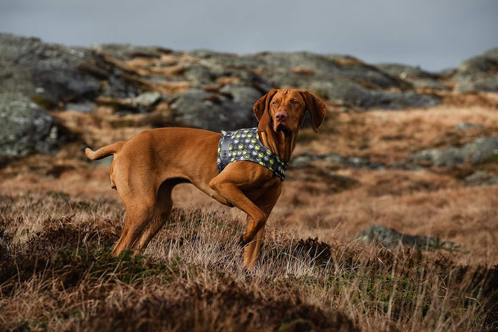 Hurtta Go Harness Hundegeschirr für kleine Hunde, gepolstert, vorne verstellbar, mit Griff und Refle