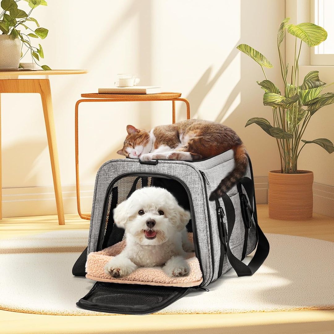 Petsfit Transportbox Katze Hundebox Auto Katzentransportbox Transportbox Hund - Faltbare Tragetasche