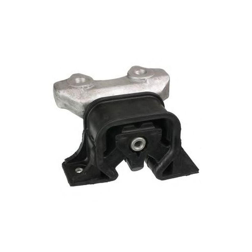 Delphi Lagerung Motor TEM059