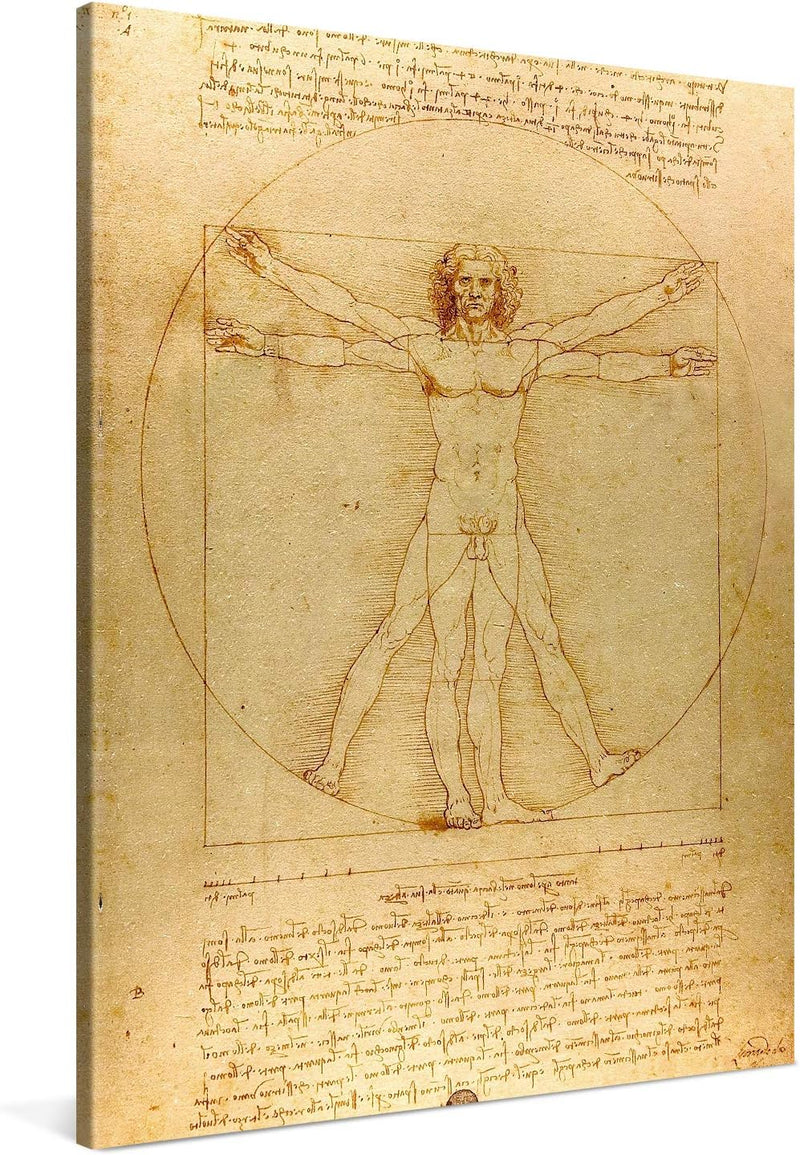 PICANOVA – Leonardo da Vinci – Vitruvian Man 75x100cm – Bild auf Leinwand – Premium Kunstdruck Auf 2