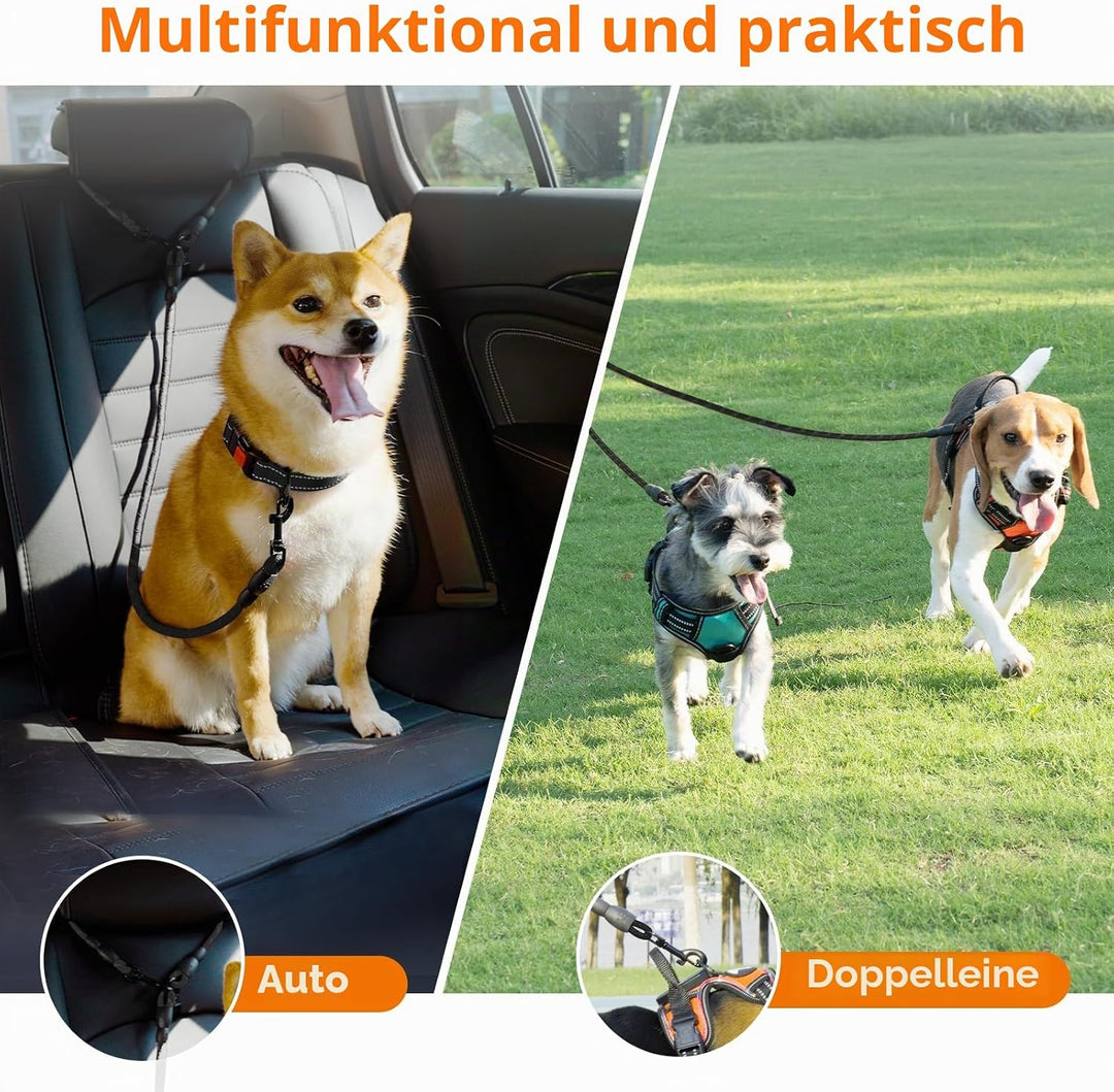 Taglory Doppelte Leinen/Hundeleine Doppelleine für 2 Hunde/Keine Verwicklung Reflektierend Kletterse