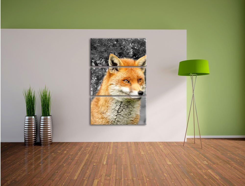Pixxprint stolzer Fuchs im Geäst als Leinwandbild/Grösse: 3 Teilig (120x80) / Wandbild/Kunstdruck/fe