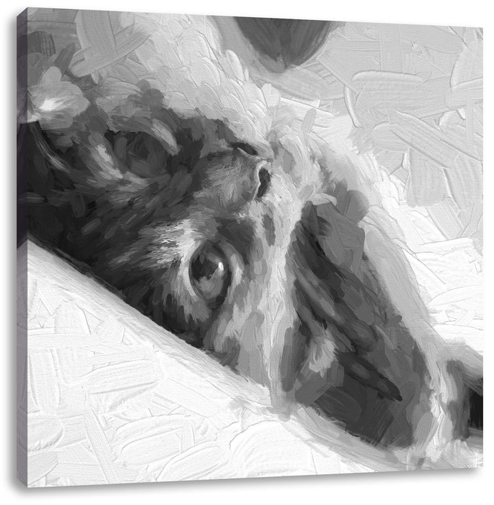 Pixxprint Niedliche Katze liegt im Bett Pinsel Effekt, Format: 70x70 auf Leinwand, 70x70