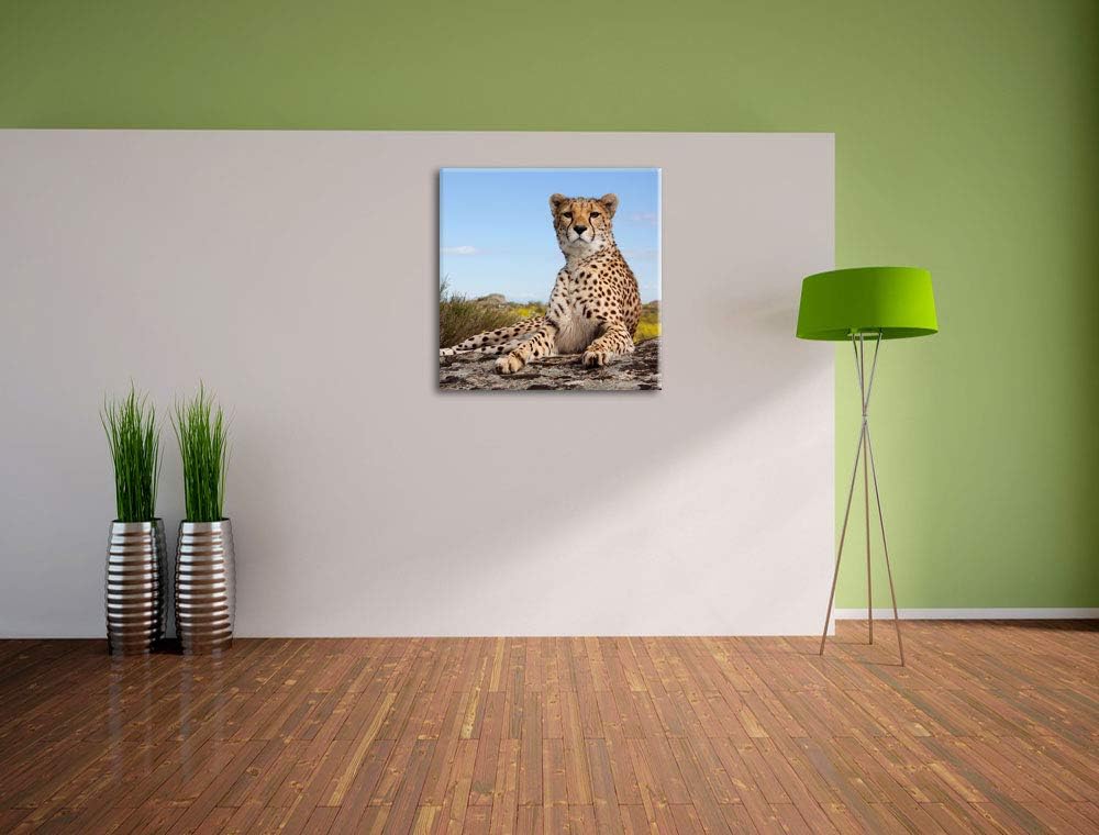 Gepard in Savanne, Format: 70x70 auf Leinwand, XXL riesige Bilder fertig gerahmt mit Keilrahmen, Kun