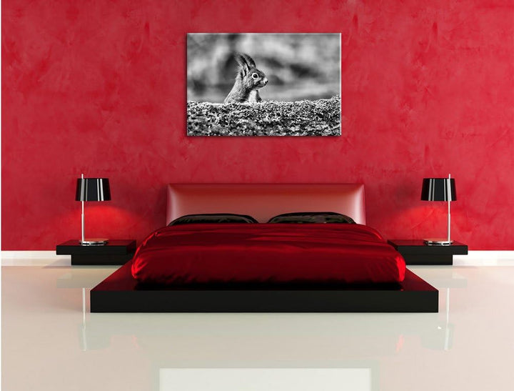 Pixxprint Eichhörnchen hinter Baumstamm als Leinwandbild/Grösse: 100x70 / Wandbild/Kunstdruck/fertig